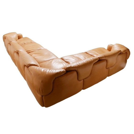 Image 1 of Vintage bruin lederen sofa van Rosselli voor Saporiti in glasvezel 1970