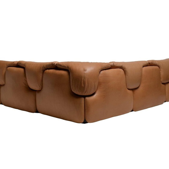 Image 1 of Vintage bruin lederen sofa van Rosselli voor Saporiti in glasvezel 1970