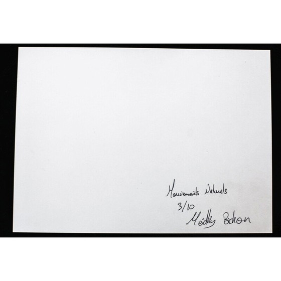 Image 1 of Vintage zilveren schilderij natural movements 06 van Meïdhy Bichon, 2019