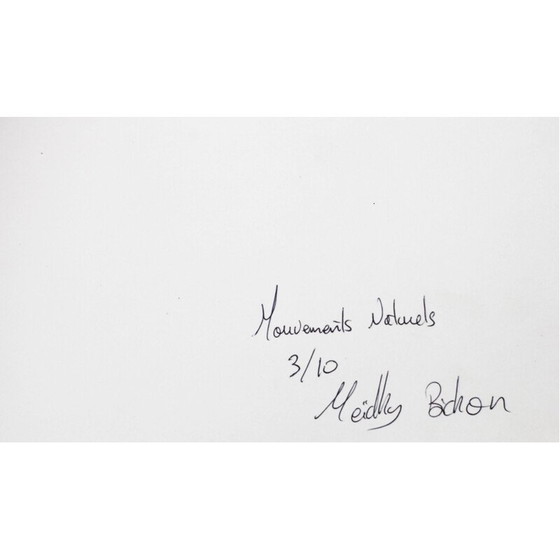 Image 1 of Vintage zilveren schilderij natural movements 06 van Meïdhy Bichon, 2019