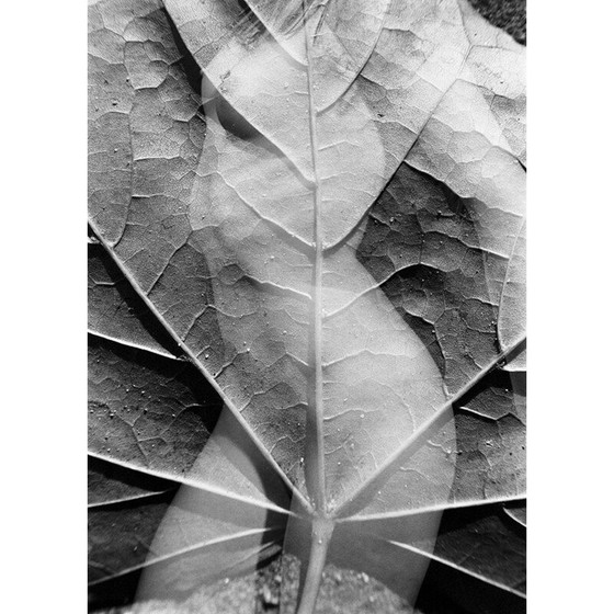 Image 1 of Vintage zilveren schilderij natural movements 06 van Meïdhy Bichon, 2019