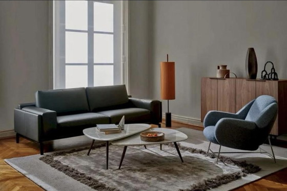 Image 1 of Leolux Frame Tapijt Reed Nieuw In Verpakking!