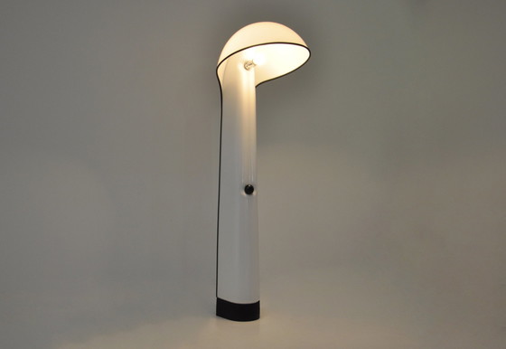 Image 1 of Alba vloerlamp door Sergio Brazzoli & Ermanno Lampa voor Harvey Guzzini, 1960S