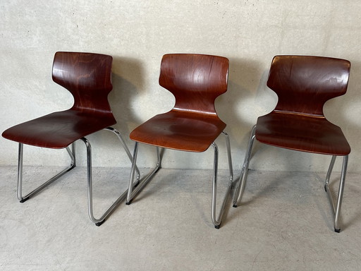 3X Pagholz Flötotto Stoelen - Bruin