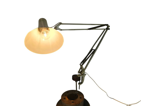 Image 1 of Philips - model NTD 36 - Louis Kalff - bureaulamp - architectenlamp - metaal - 1966