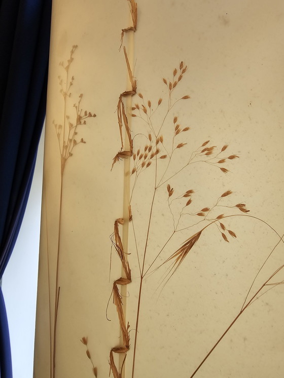 Image 1 of Vloerlamp Met Driepoot En Hoge Kap Met Plantenmotief