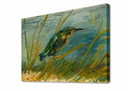 Vincent van Gogh - IJsvogel aan de waterkant