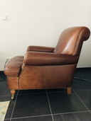 Baxter Charlotte fauteuil