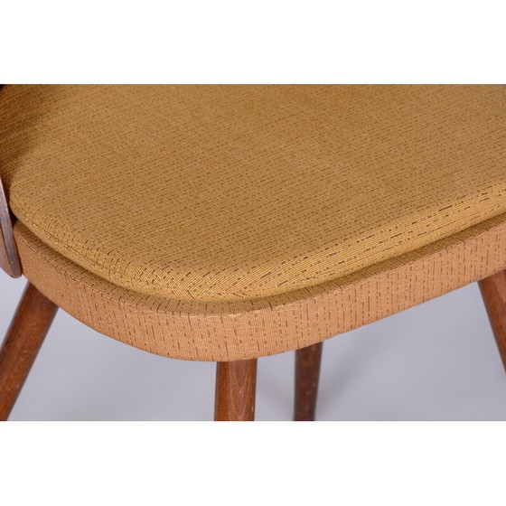 Image 1 of Set van 4 mid-century stoelen van A. Šuman, Tsjechië 1950
