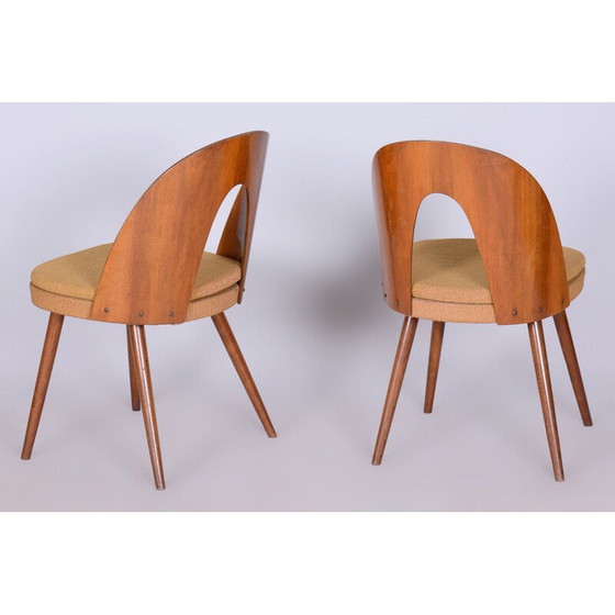 Image 1 of Set van 4 mid-century stoelen van A. Šuman, Tsjechië 1950