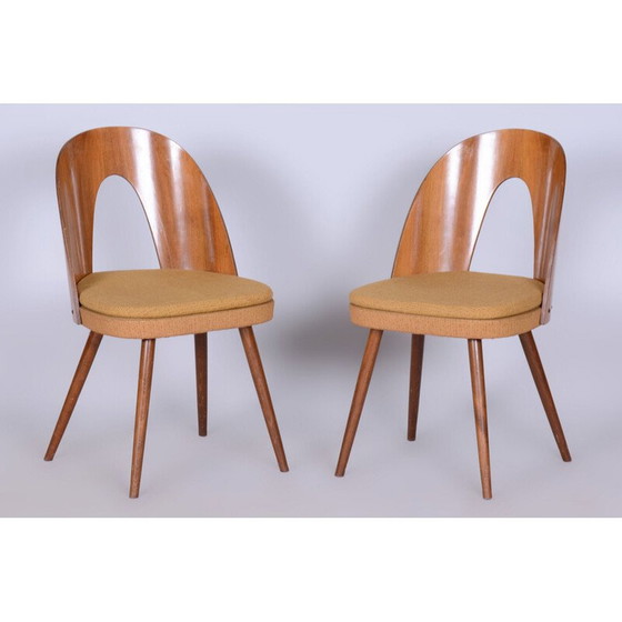 Image 1 of Set van 4 mid-century stoelen van A. Šuman, Tsjechië 1950