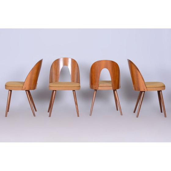 Image 1 of Set van 4 mid-century stoelen van A. Šuman, Tsjechië 1950