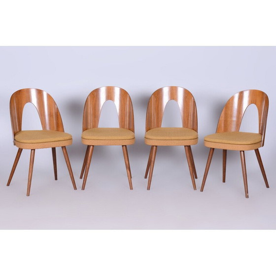 Image 1 of Set van 4 mid-century stoelen van A. Šuman, Tsjechië 1950