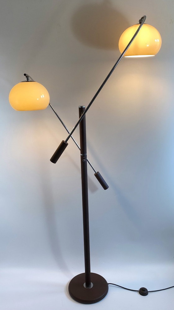 Image 1 of Dijkstra Mushroom Swing Arm Vloerlamp