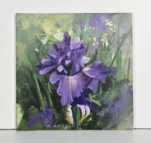 Schilderij - Agostino Cancogni - Iris