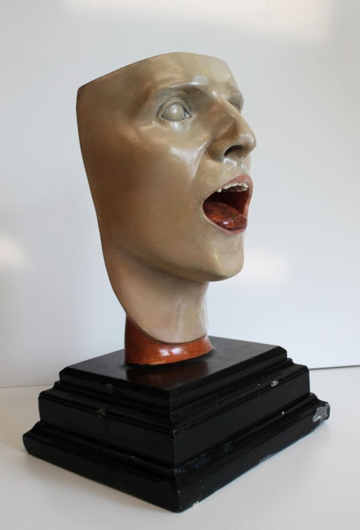 Bock-Steger anatomisch model, Duitsland, 1890.