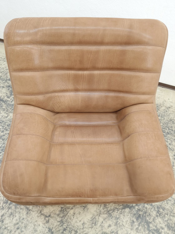 Image 1 of De Sede ds 84 fauteuil Design fauteuil Leren fauteuil Stoel Nekleer Buffelleer