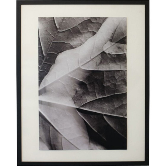 Image 1 of Vintage schilderij Natural Movements 11 door Meïdhy Bichon, 2019