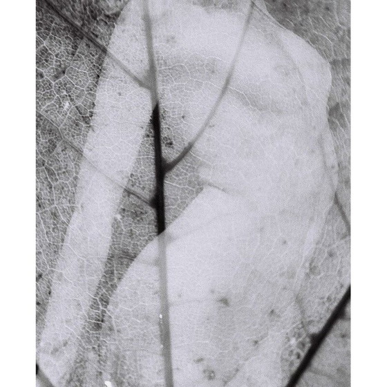 Image 1 of Vintage schilderij Natural Movements 10 door Meïdhy Bichon, 2019