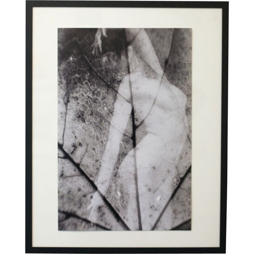 Vintage schilderij Natural Movements 10 door Meïdhy Bichon, 2019