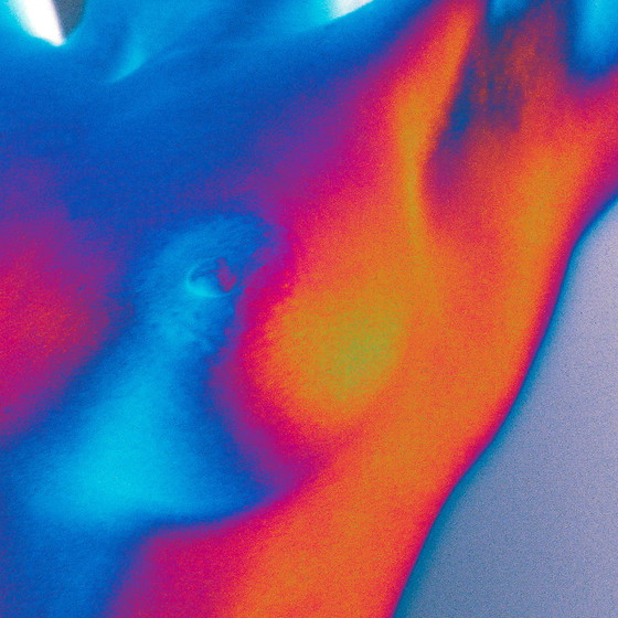 Image 1 of Robbert Frank Hagens - Colourful Nude II - 1999