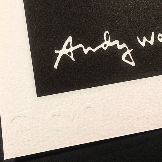 Image 1 of 1980S Andy Warhol "Eagle" Limited Edition Litho van Cmoa.