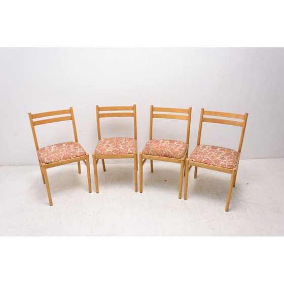 Image 1 of Set van 4 mid century beukenhouten eetkamerstoelen, Tsjecho-Slowakije 1960
