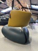 Leolux Pallone Fauteuil groen geel grijs leer 