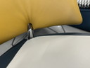 Leolux Pallone Fauteuil groen geel grijs leer 