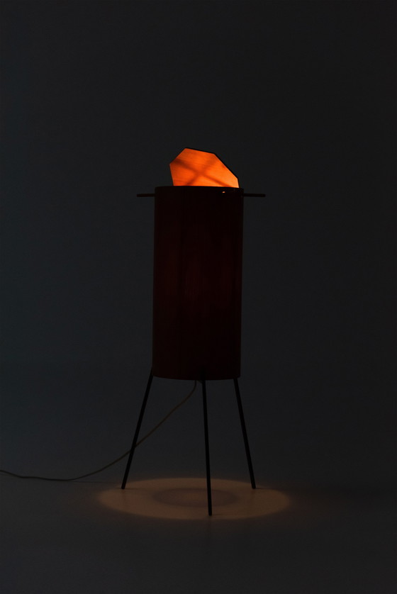 Image 1 of 50Dassen Buiskap Vloerlamp