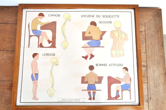 Image 1 of Vintage Wissellijst Anatomie Met 11 Dubbelzijdige Platen 