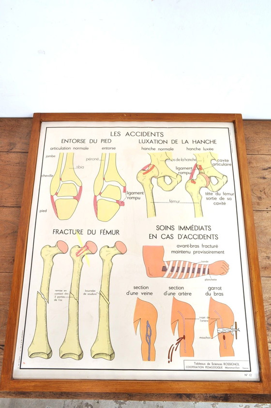 Image 1 of Vintage Wissellijst Anatomie Met 11 Dubbelzijdige Platen 