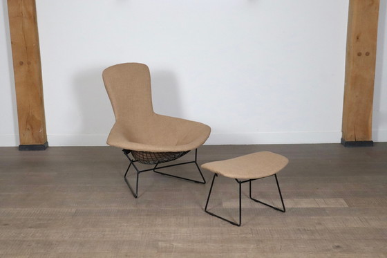 Image 1 of Early Edition vogelstoel met voetenbankje van Harry Bertoia voor Knoll International, Italië 1960