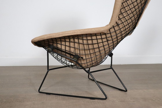 Image 1 of Early Edition vogelstoel met voetenbankje van Harry Bertoia voor Knoll International, Italië 1960