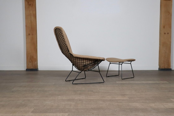 Image 1 of Early Edition vogelstoel met voetenbankje van Harry Bertoia voor Knoll International, Italië 1960