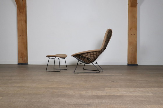 Image 1 of Early Edition vogelstoel met voetenbankje van Harry Bertoia voor Knoll International, Italië 1960