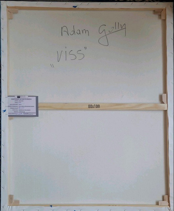 Image 1 of Adam Golly "Viss" Xl