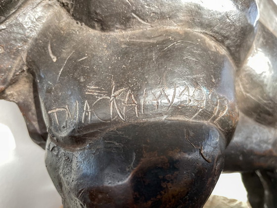 Image 1 of Theo Mackaay, Amerikaanse Bison