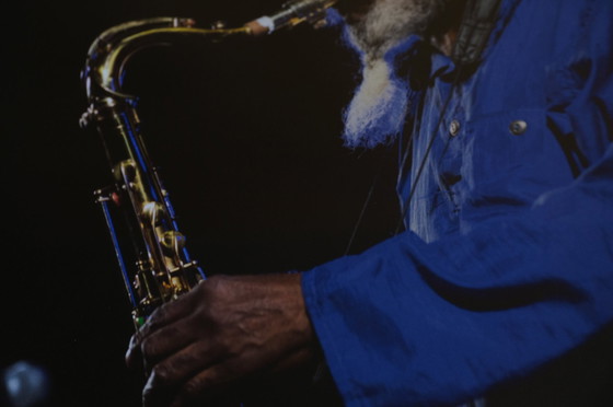 Image 1 of Pharoah Sanders op het Krakau Jazz Festival | Foto