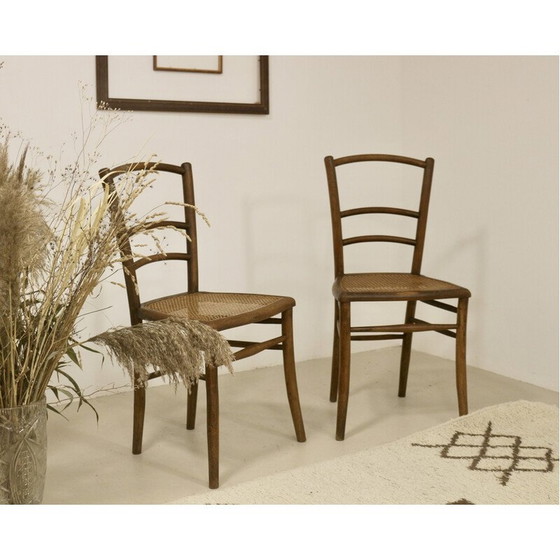 Image 1 of Paar vintage bistrostoelen met rieten kap, 1950