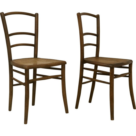 Image 1 of Paar vintage bistrostoelen met rieten kap, 1950