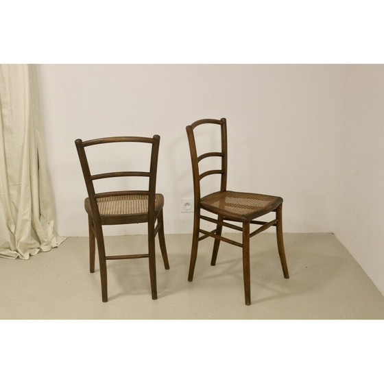 Image 1 of Paar vintage bistrostoelen met rieten kap, 1950