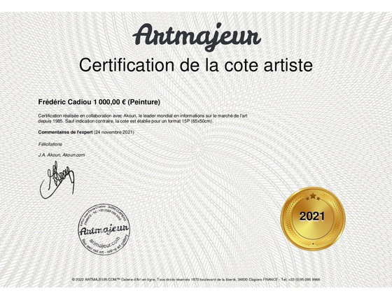 Image 1 of Au Bout Du Cap Coz. Acrylinkt van Frédéric Cadiou