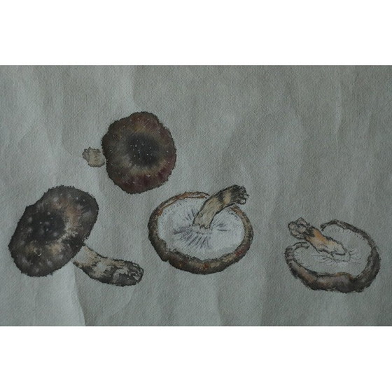 Image 1 of Vintage poster Svampar Japans schilderij op stof, Denemarken