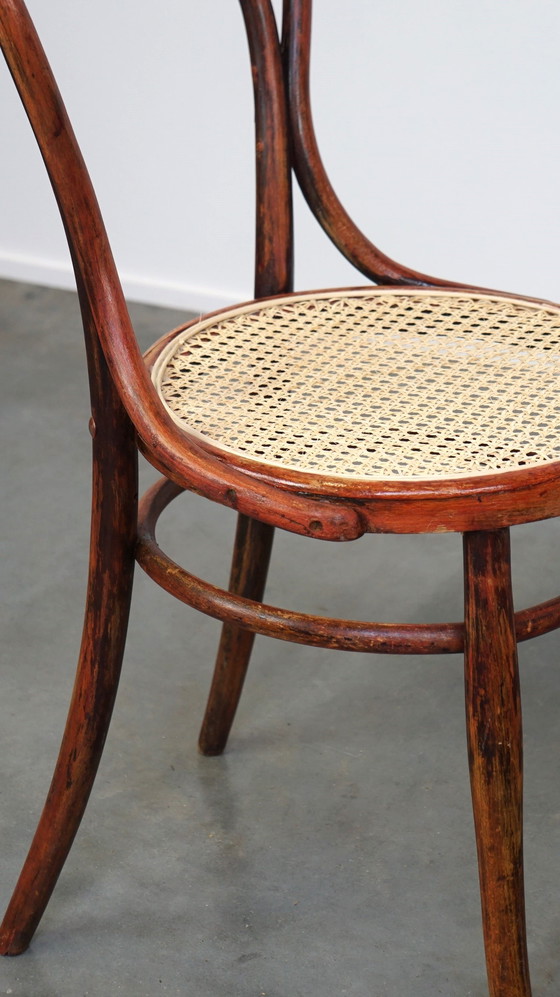 Image 1 of Thonet Stoel Model Nr. 14