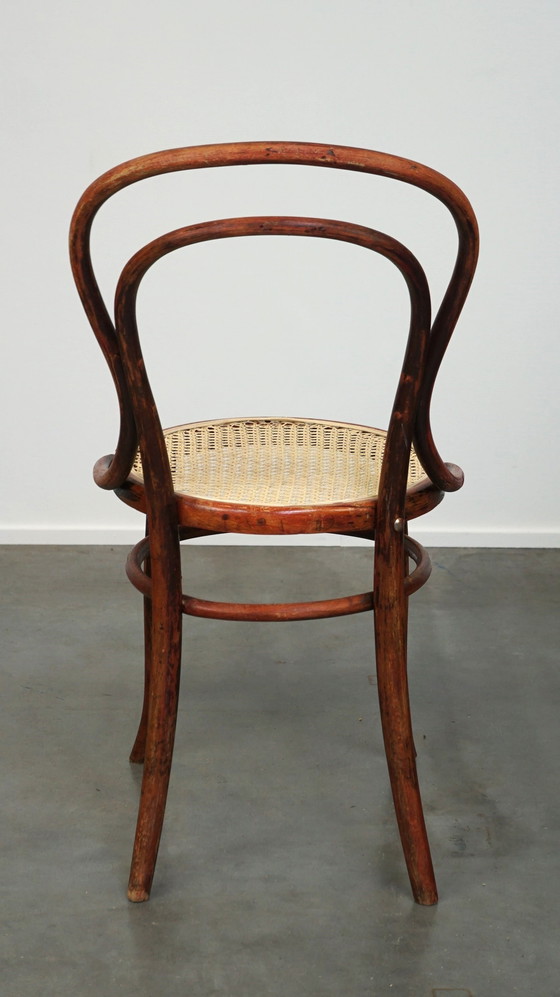 Image 1 of Thonet Stoel Model Nr. 14