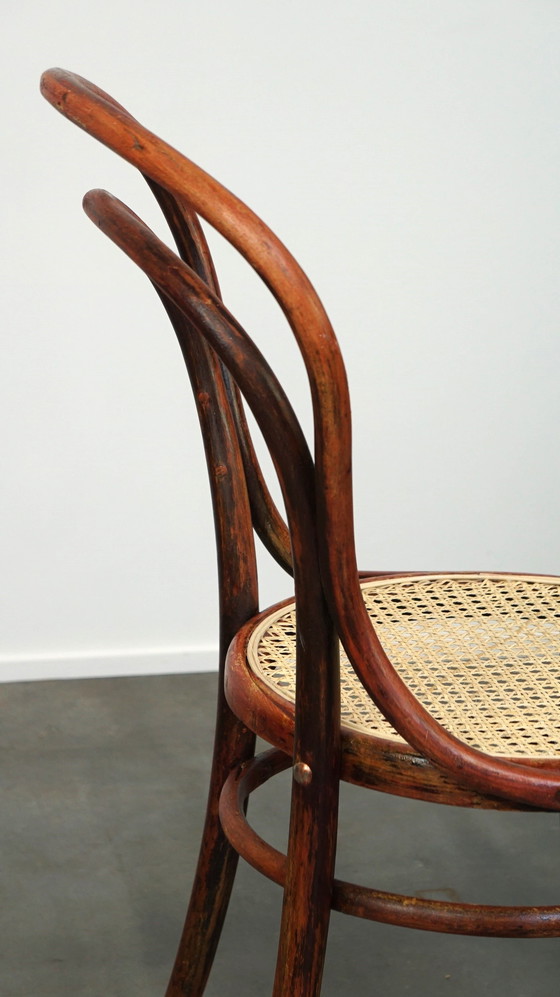 Image 1 of Thonet Stoel Model Nr. 14