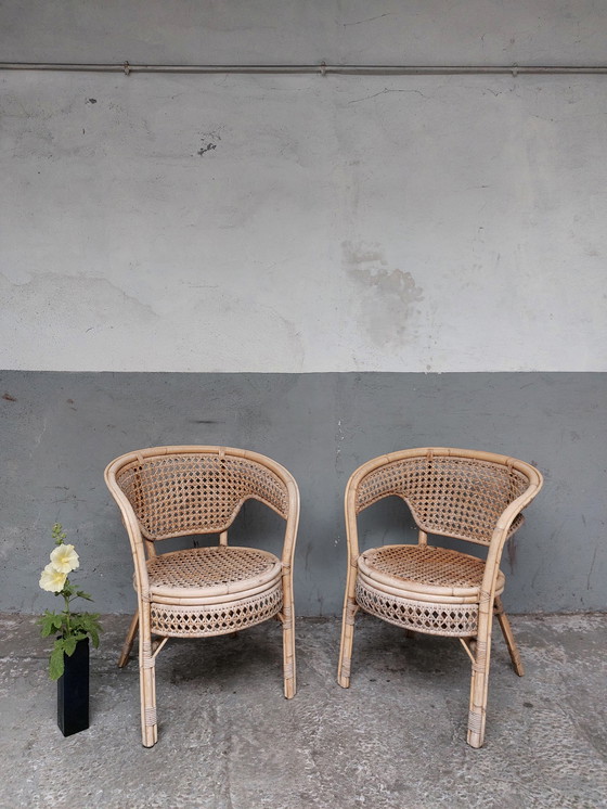 Image 1 of 2 x Vintage rotan fauteuils