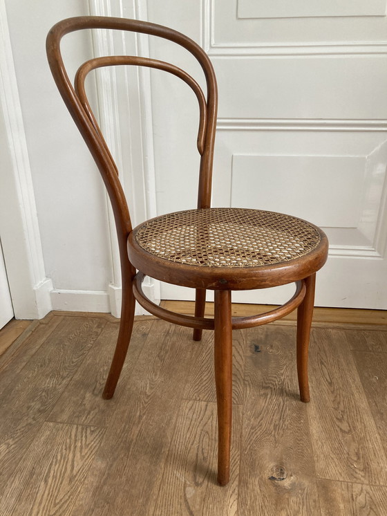 Image 1 of 4X Thonet No. 14 Door Josef Hoffmann