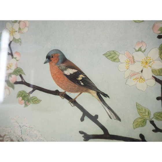 Image 1 of Mid century schoolposter, Tsjecho-Slowakije 1960